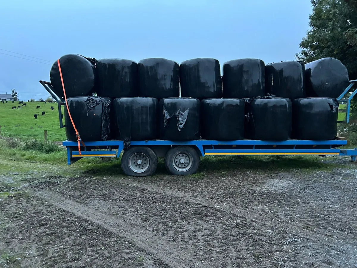 Silage bales