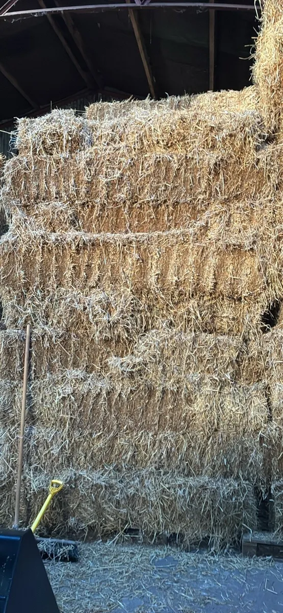 Small bales barley straw