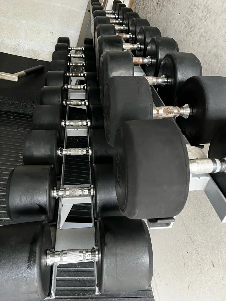30kg-50kg heavy round rubber dumbbells 720kg - Image 2