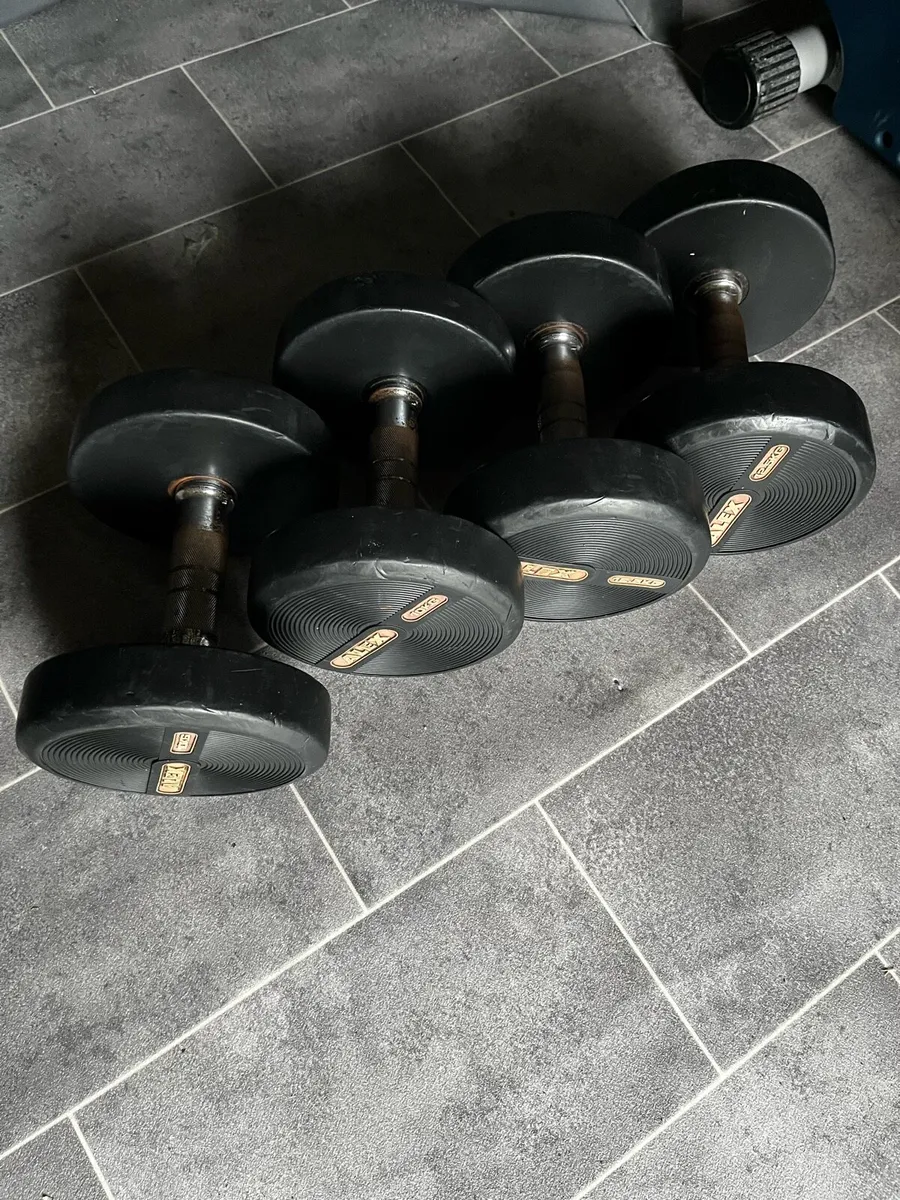 2x10kg ,2x12.5kg dumbbells - Image 1