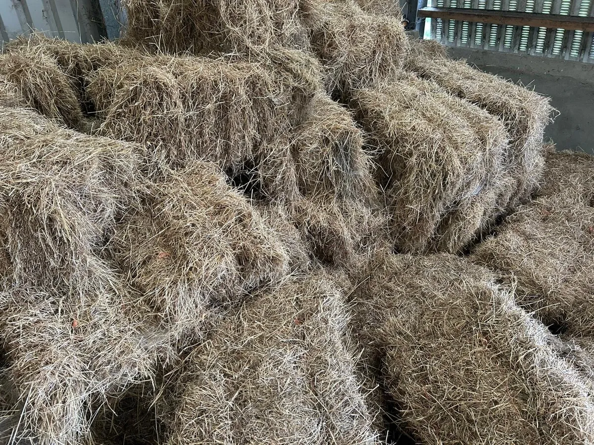 Square Bales Of Hay - Image 2