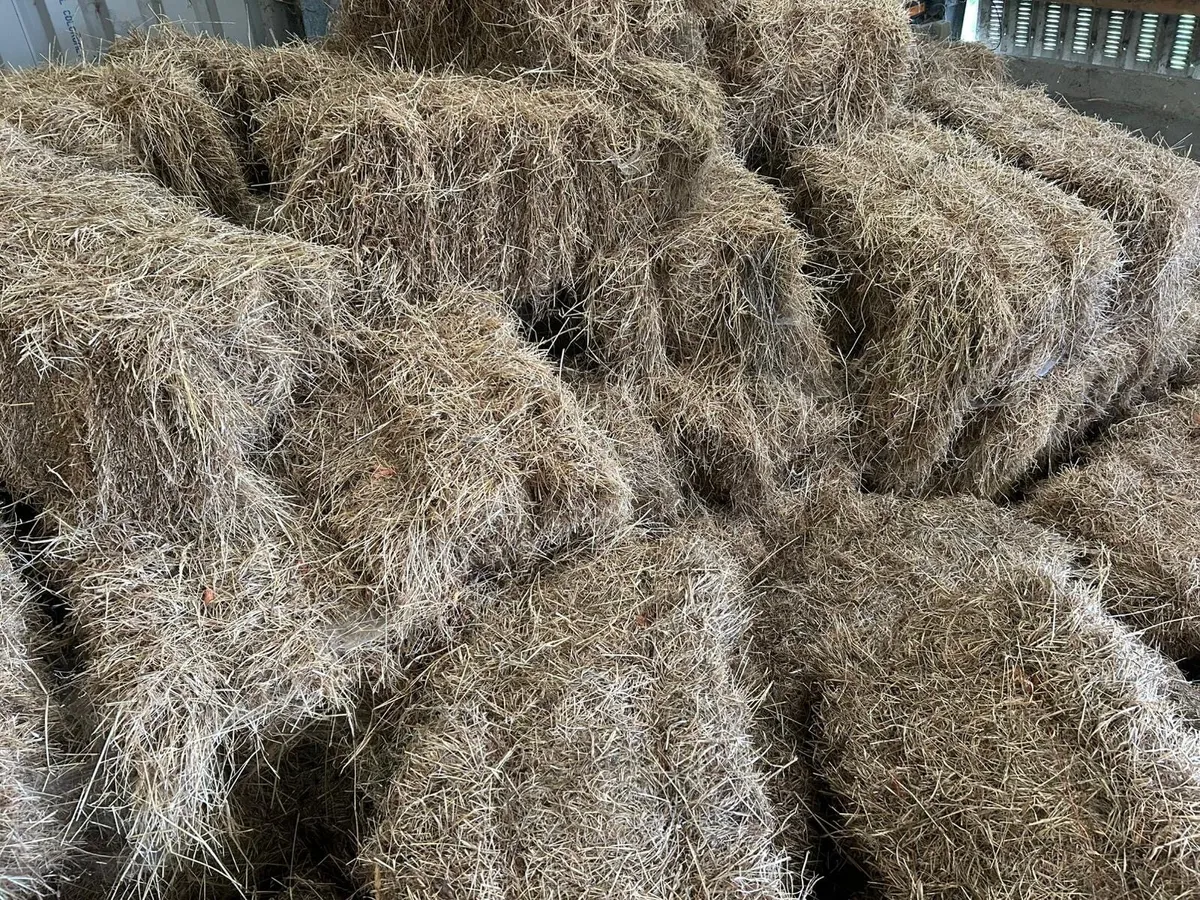 Square Bales Of Hay - Image 3