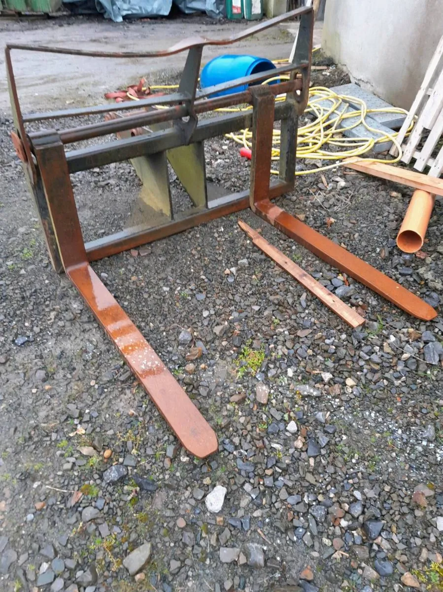 Pallet forks - Image 1