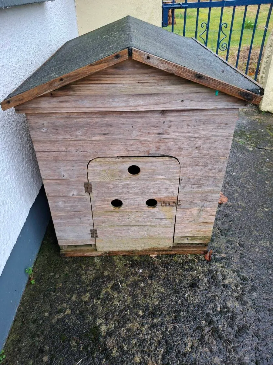 Dog House - Image 1