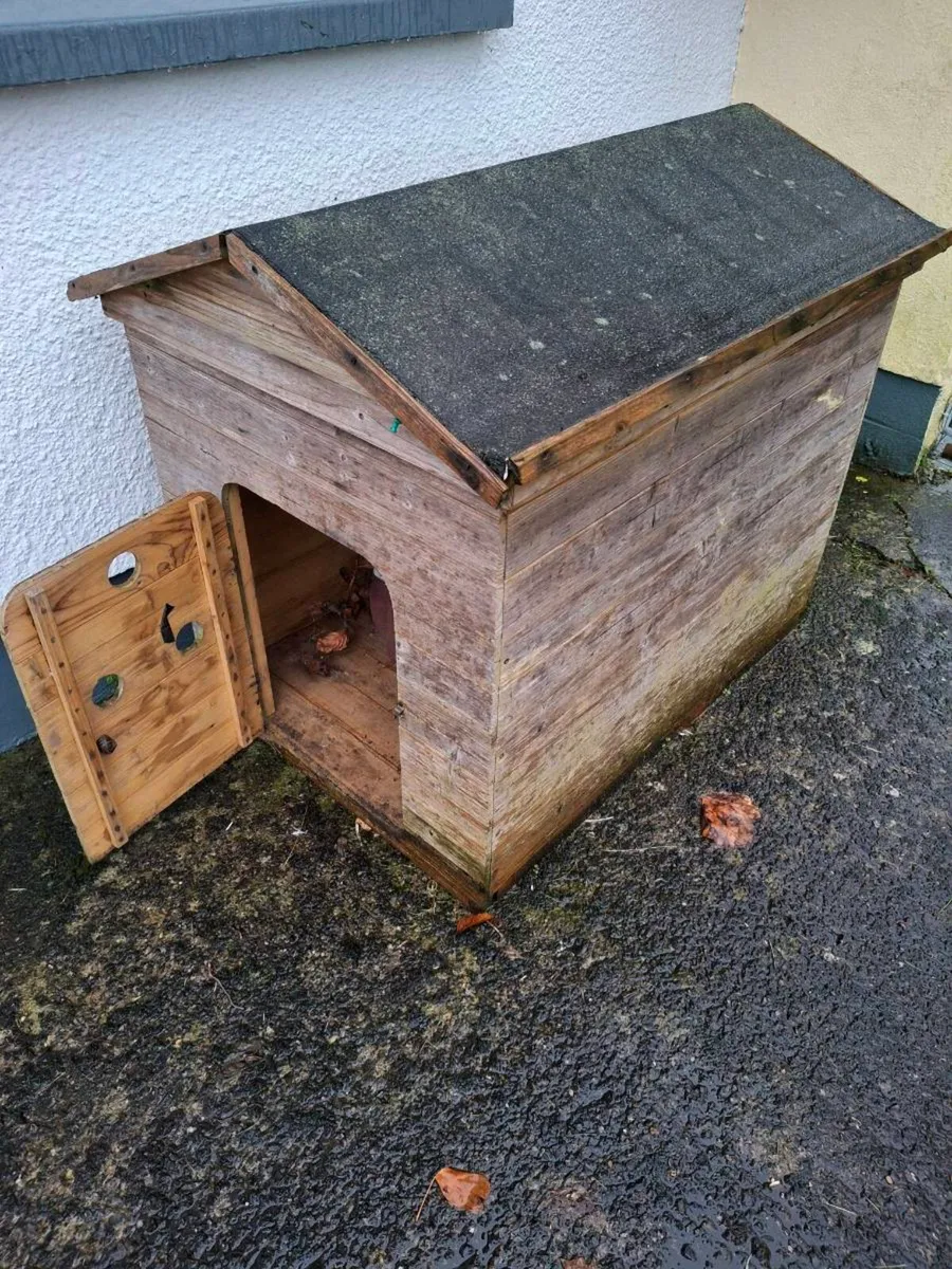 Dog House - Image 3