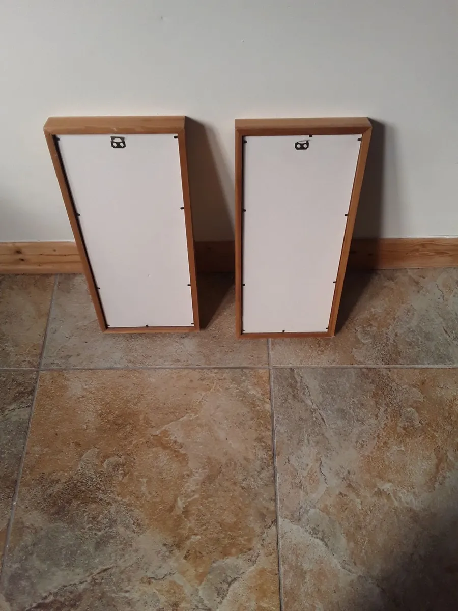 Two lovely decorative dried plants in frame - Image 2