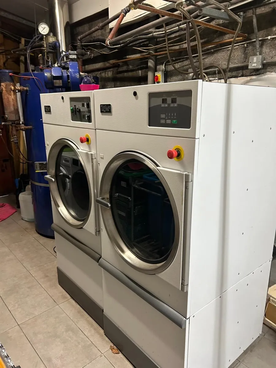 Commercial Steam Dryer x 2