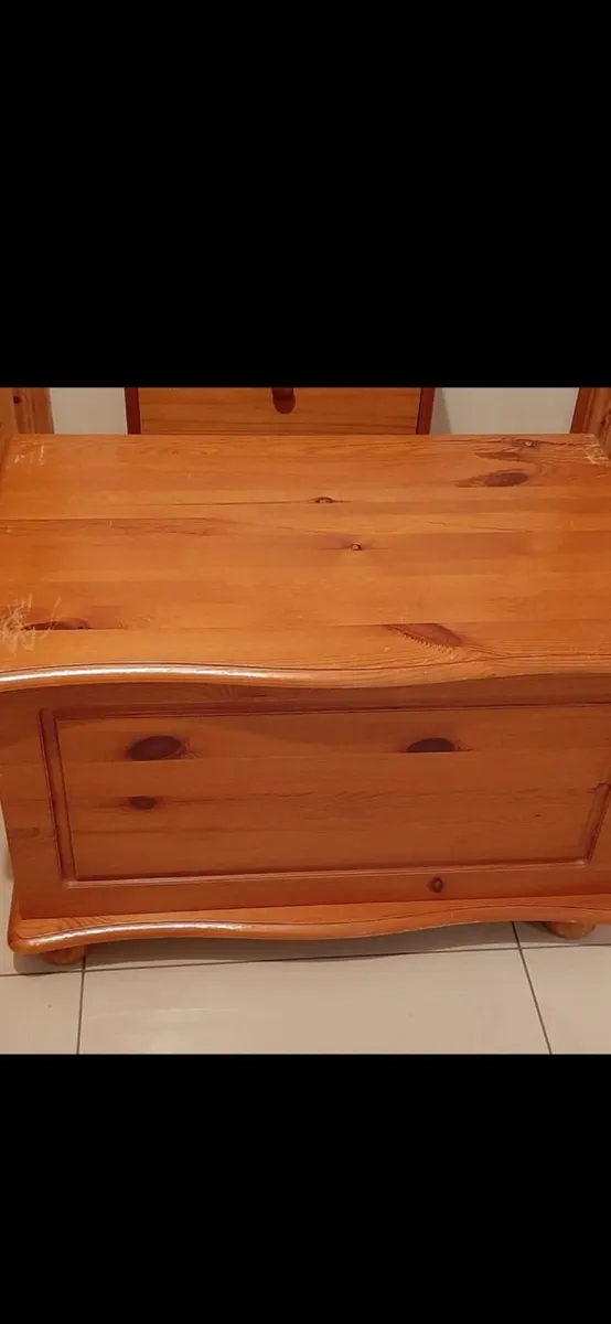 Tall standing mirror and blanket box - Image 2