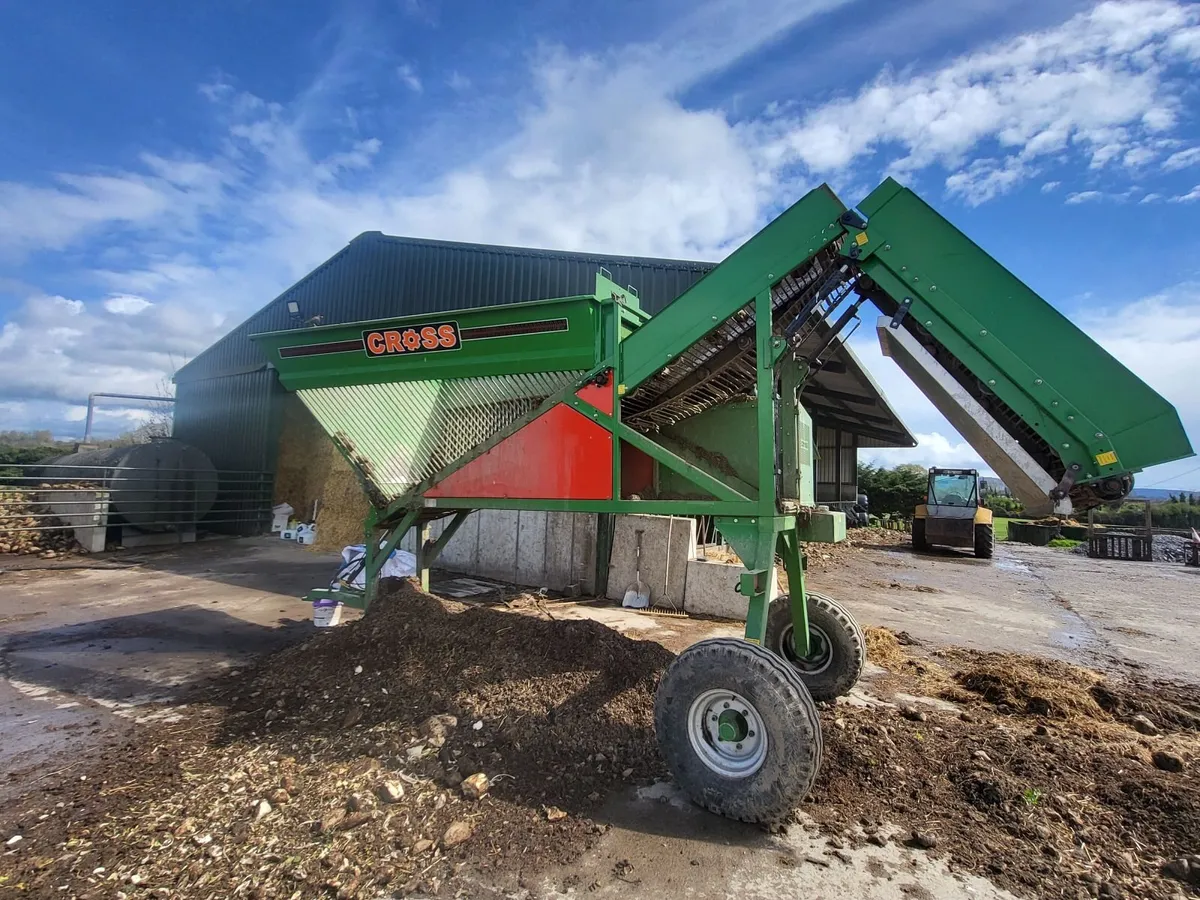 Beet (Magnum & Alishia Sugar Beet) - Image 2