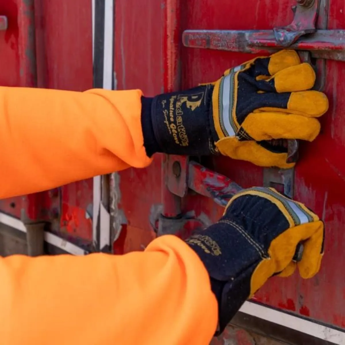 Predator Signature "Double Palm" Tiger Rigger Glov - Image 2