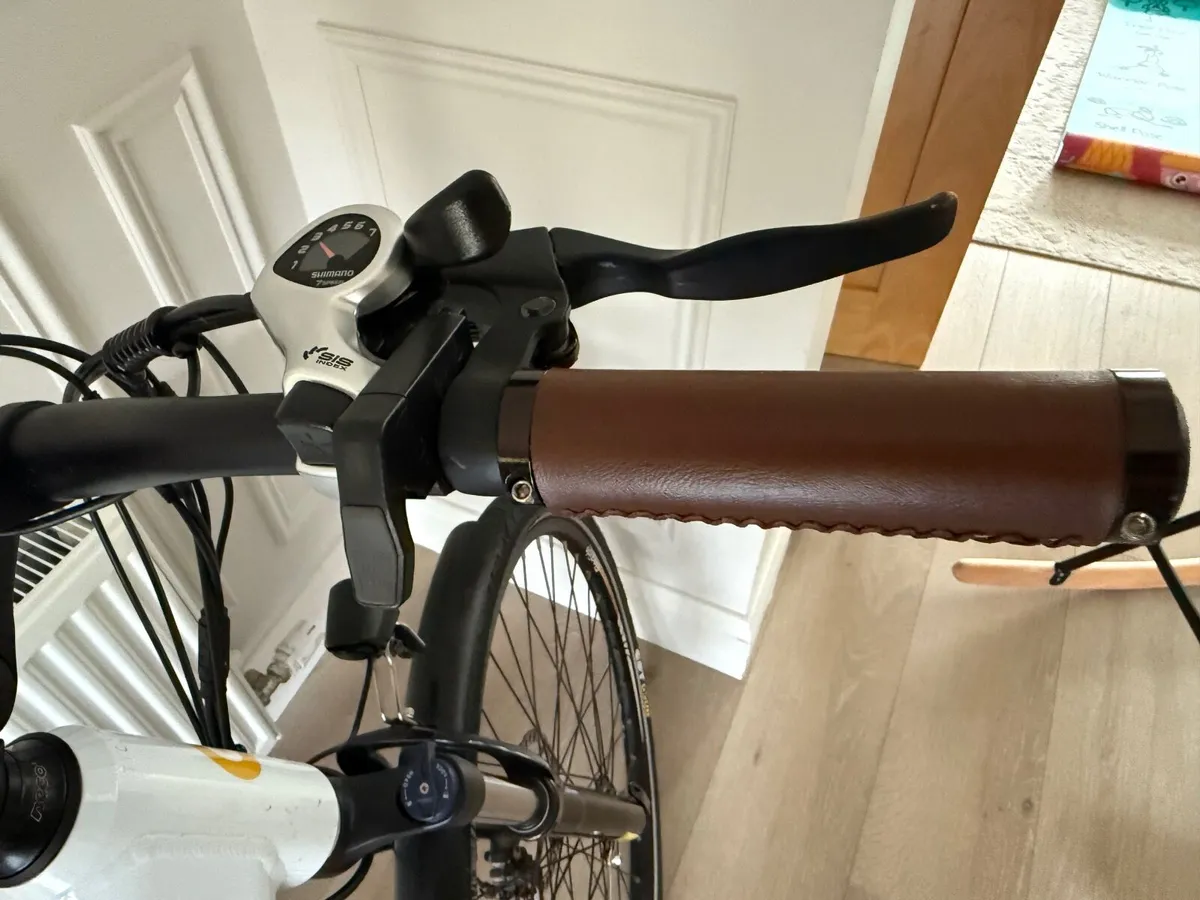 Electric Bike - Image 2