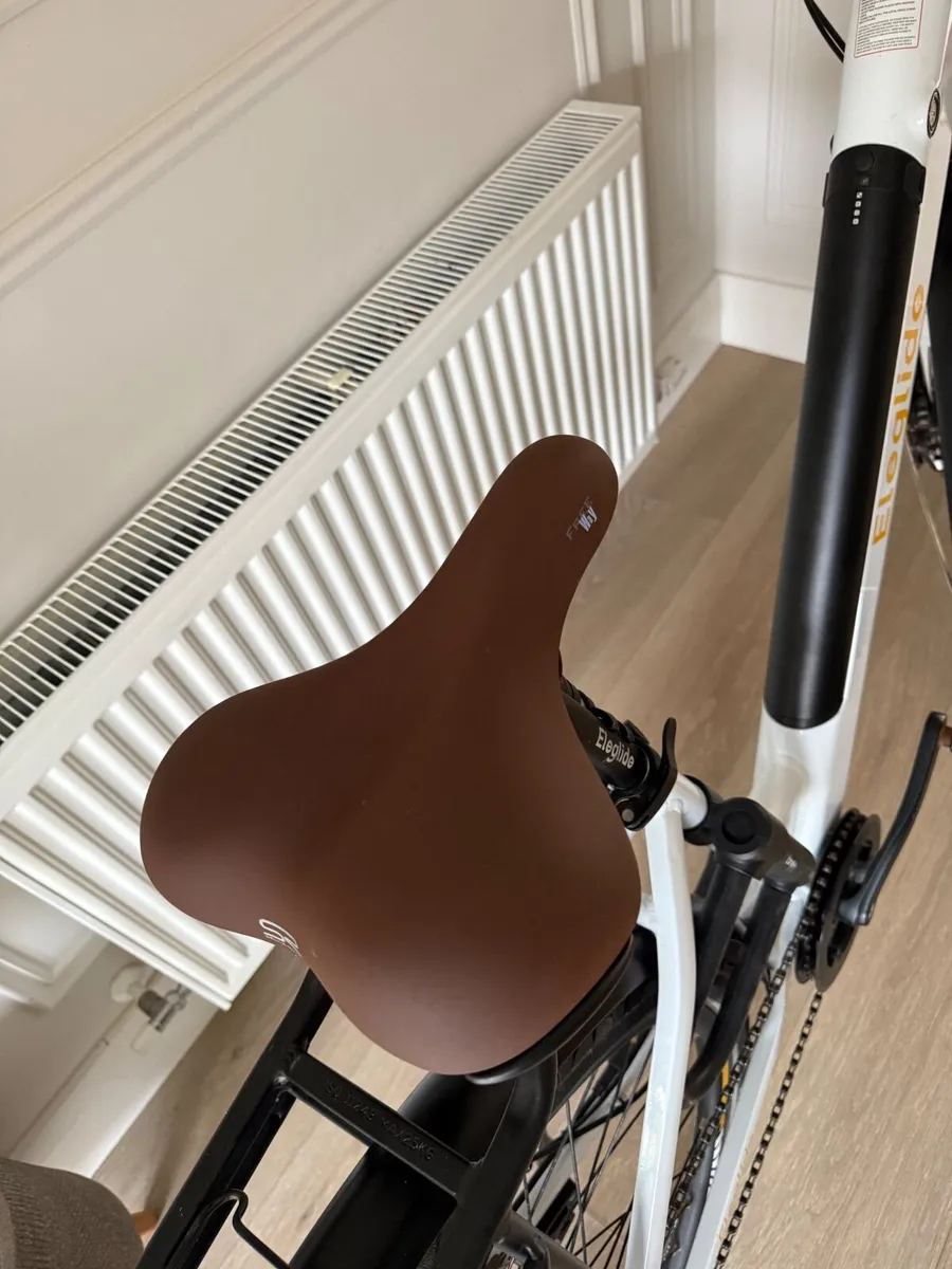 Electric Bike - Image 3