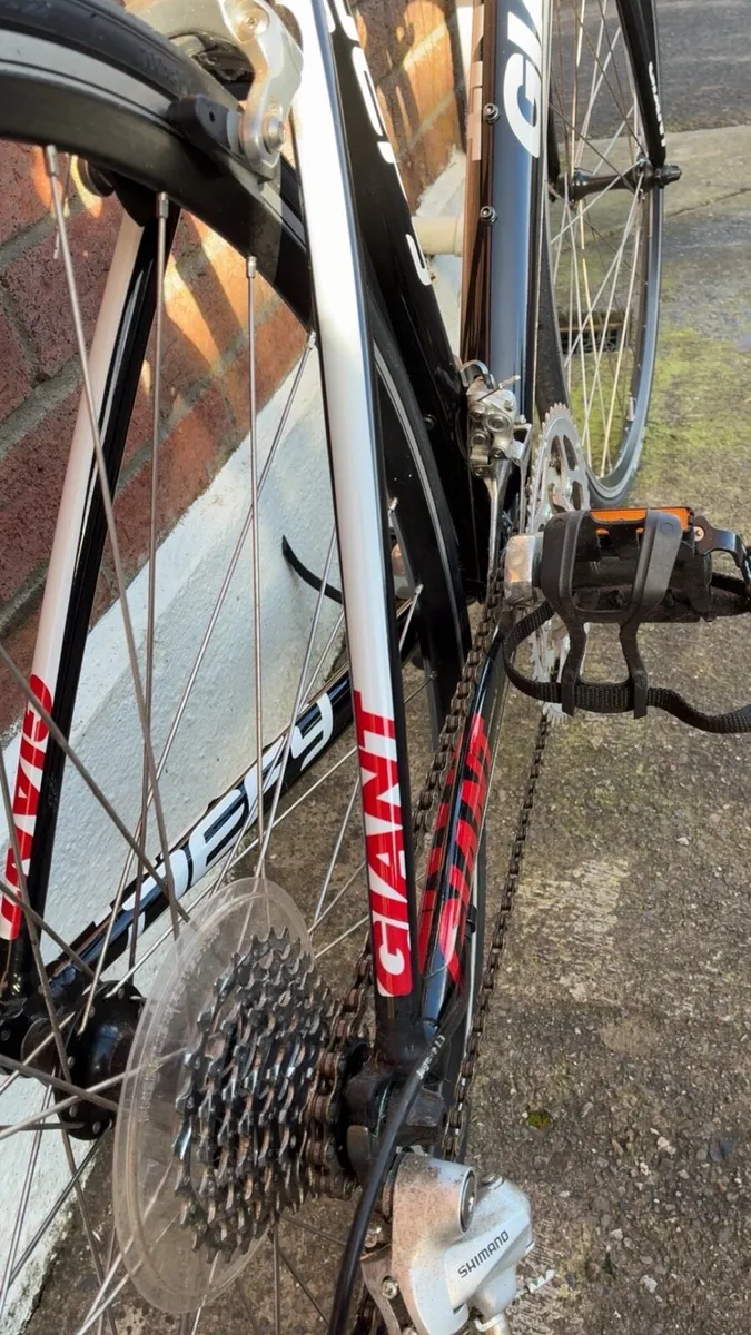 Giant defy - Image 3