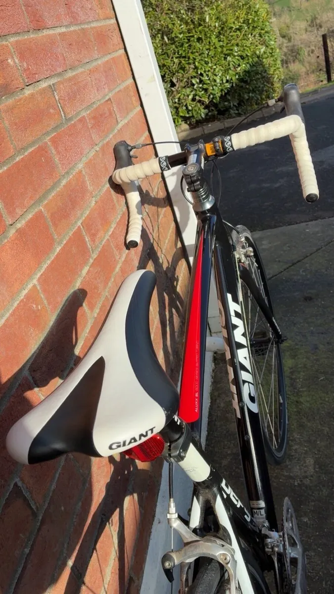 Giant defy - Image 4