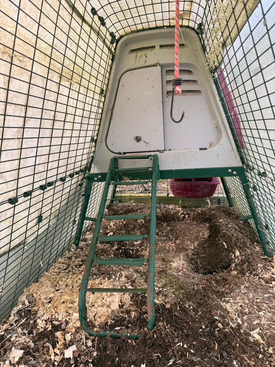 Omlet Go Up Chicken Coop and Run - Image 1