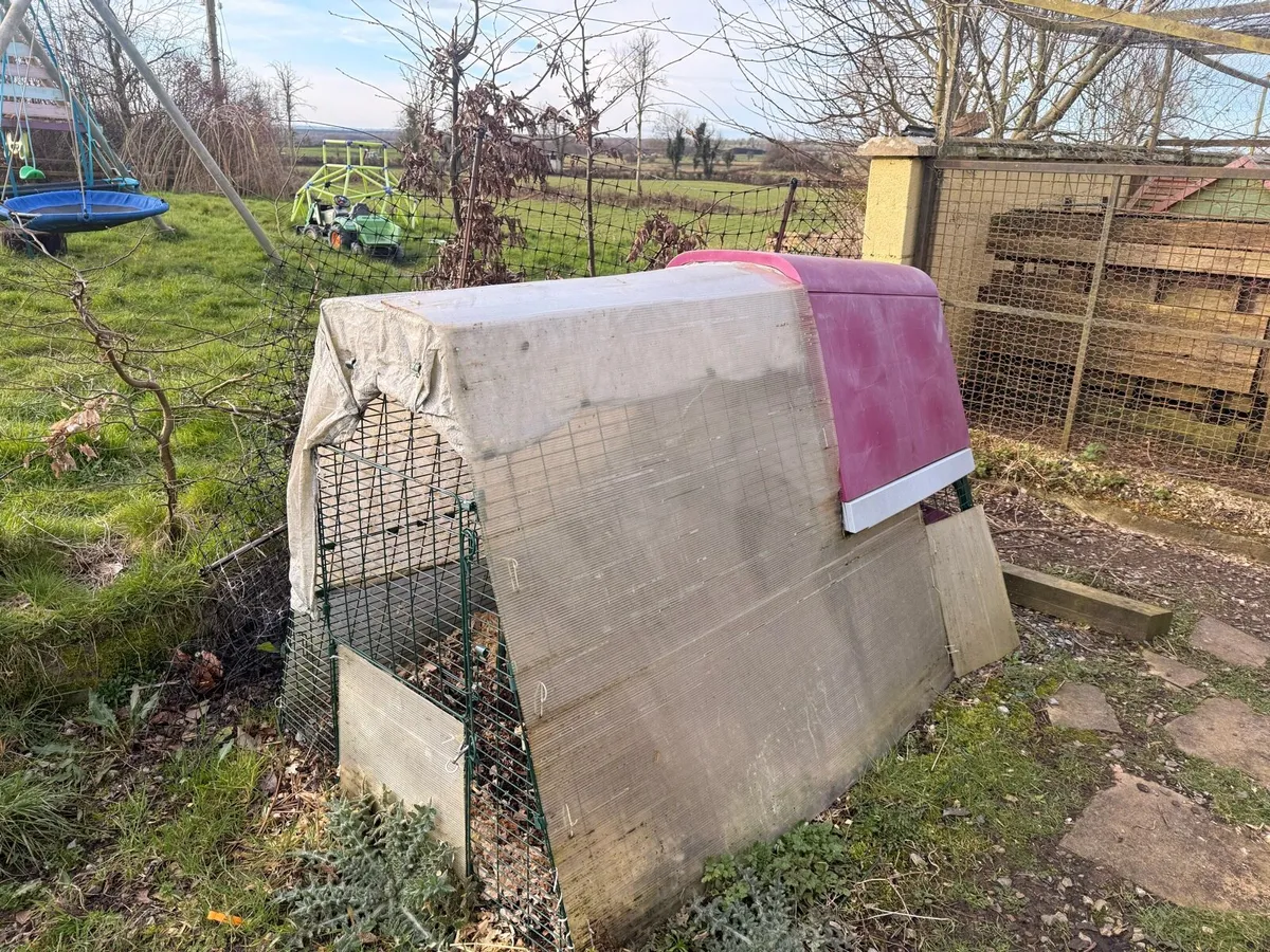 Omlet Go Up Chicken Coop and Run - Image 2