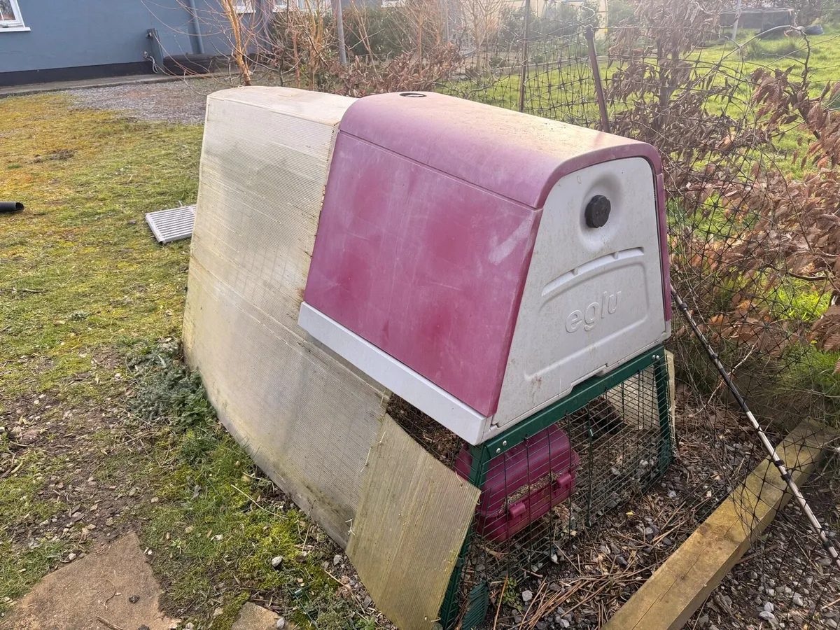 Omlet Go Up Chicken Coop and Run - Image 3