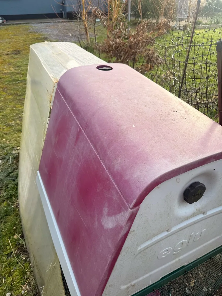 Omlet Go Up Chicken Coop and Run - Image 4