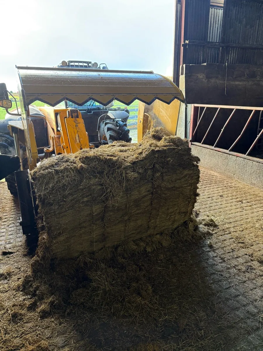Pit Silage - Image 2