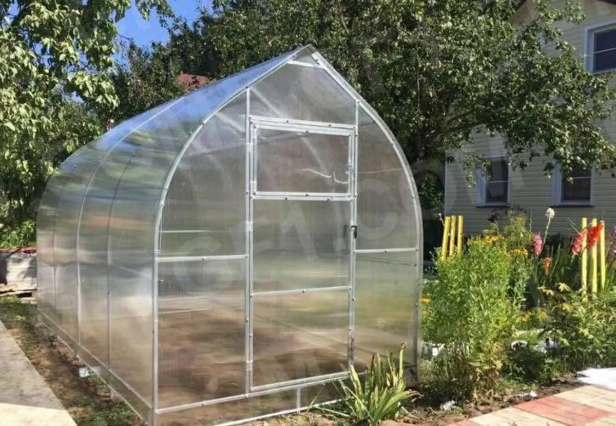 Polytunnels - Image 4