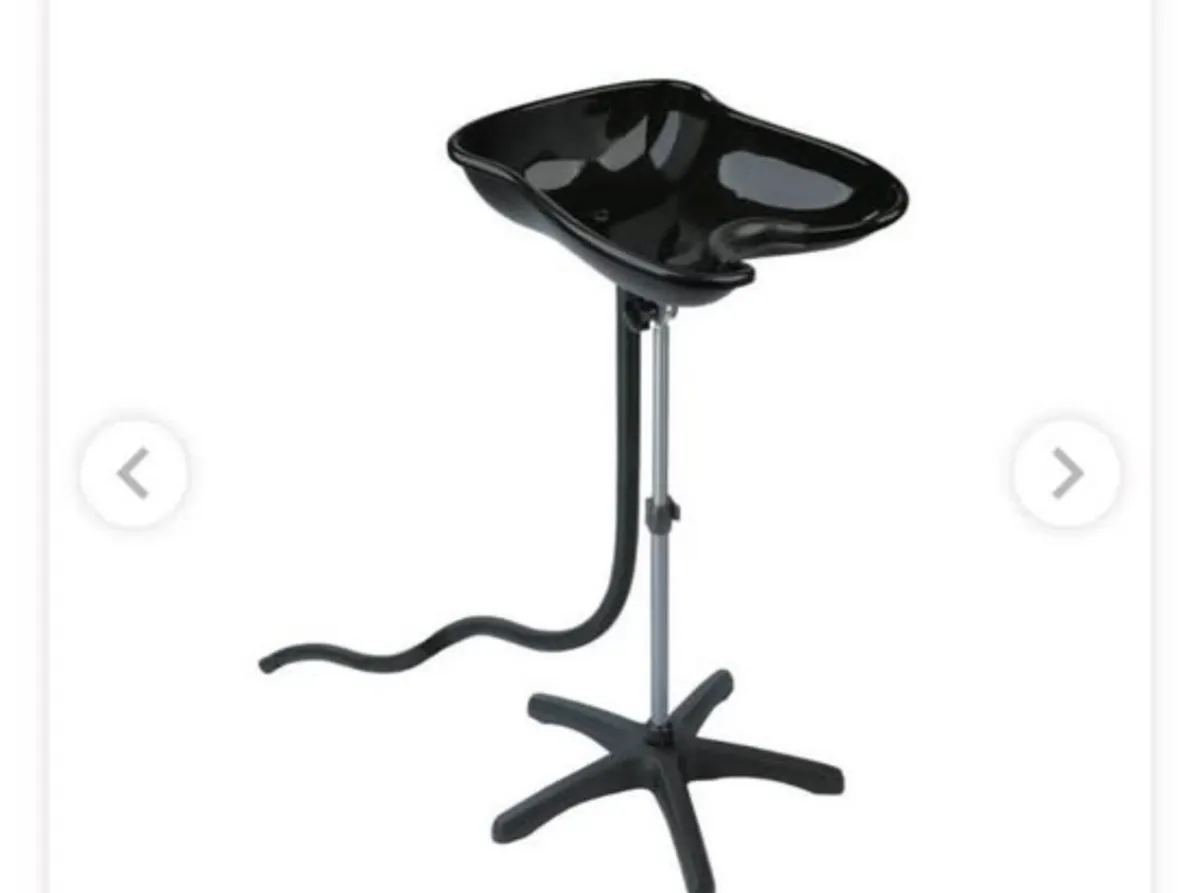 Portable backwash basin