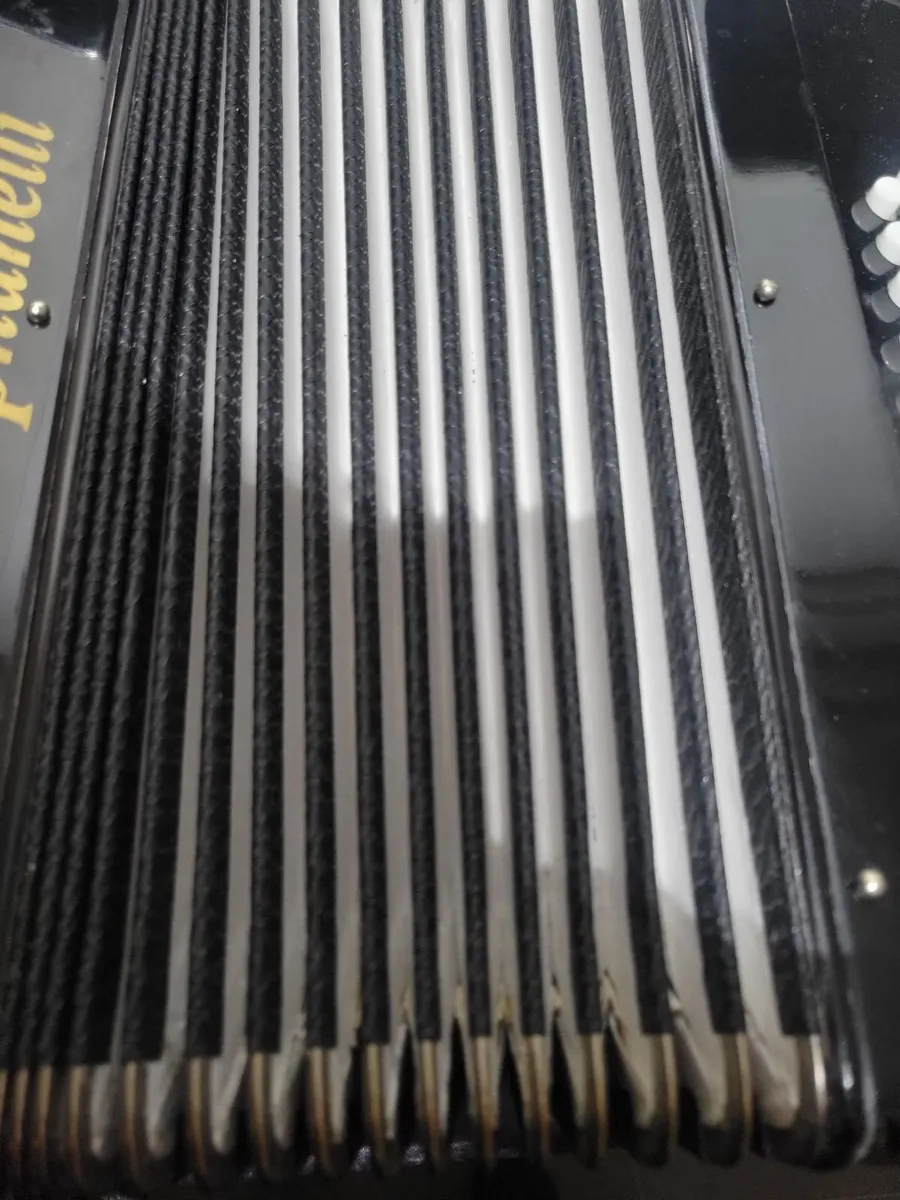 Stephenelli piano accordion 48 bass - Image 1