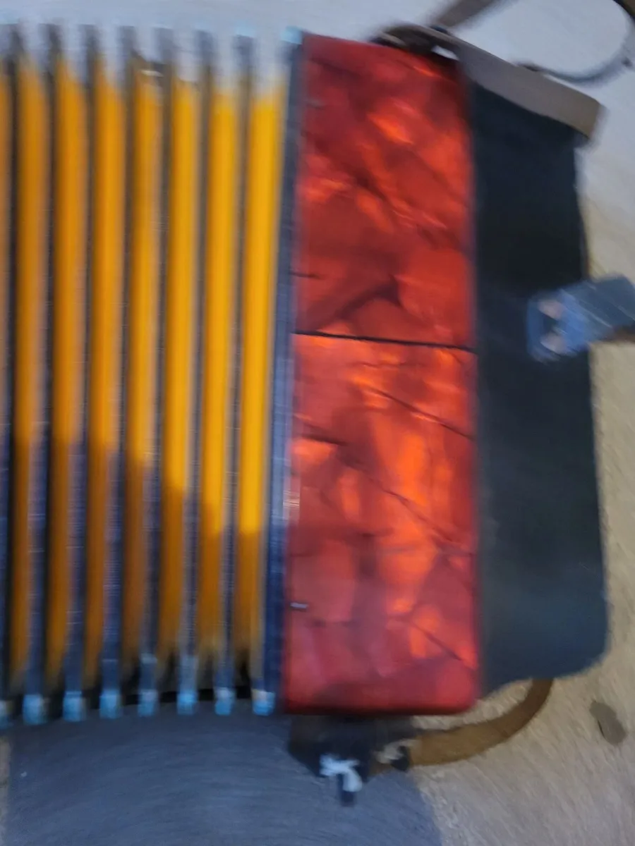 Hohner erica - Image 1