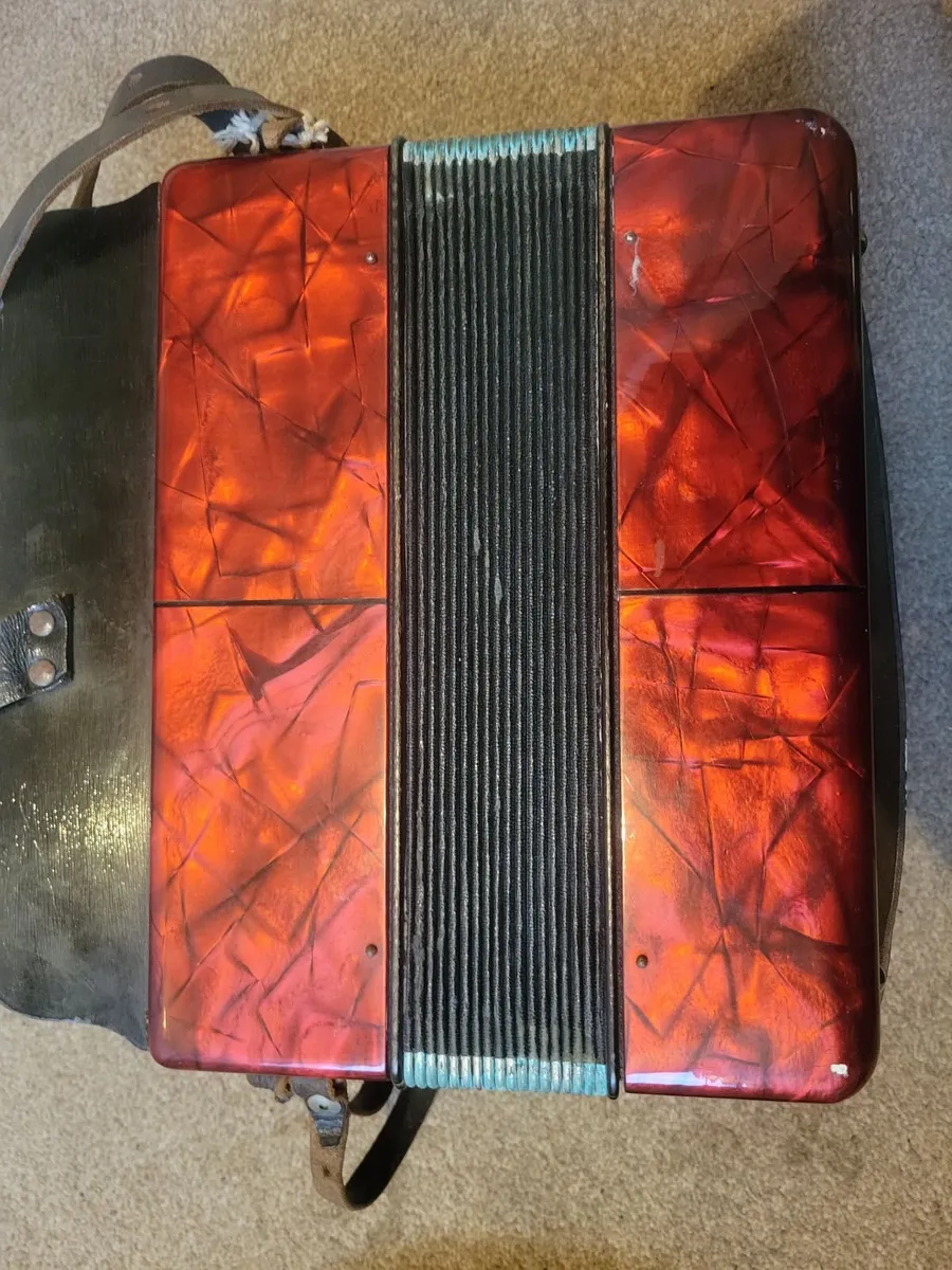 Hohner erica - Image 2