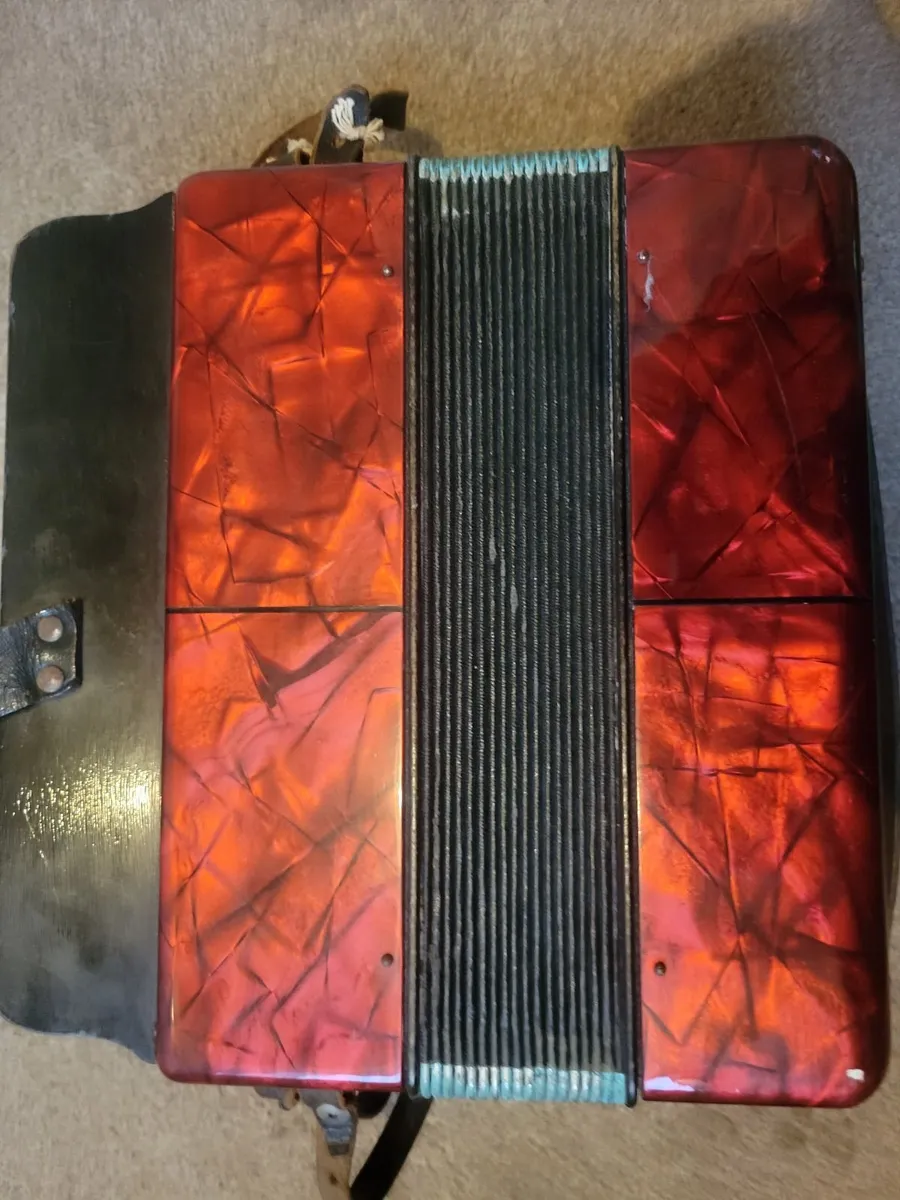 Hohner erica - Image 3