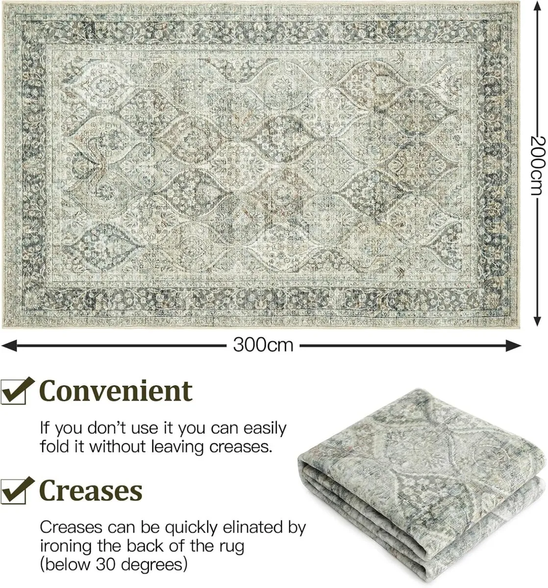 Washable Rugs Living Room Area 200x300 cm Large - Image 2