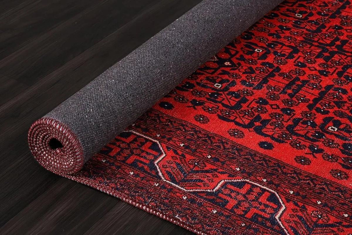 Washable Area Rugs for Living Room Traditional - Image 4