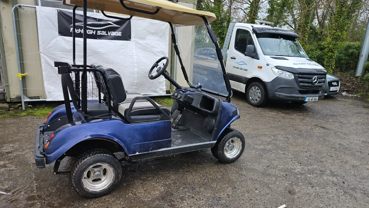 Hdk 2 seater Electric golf buggy 2024 model - Image 2