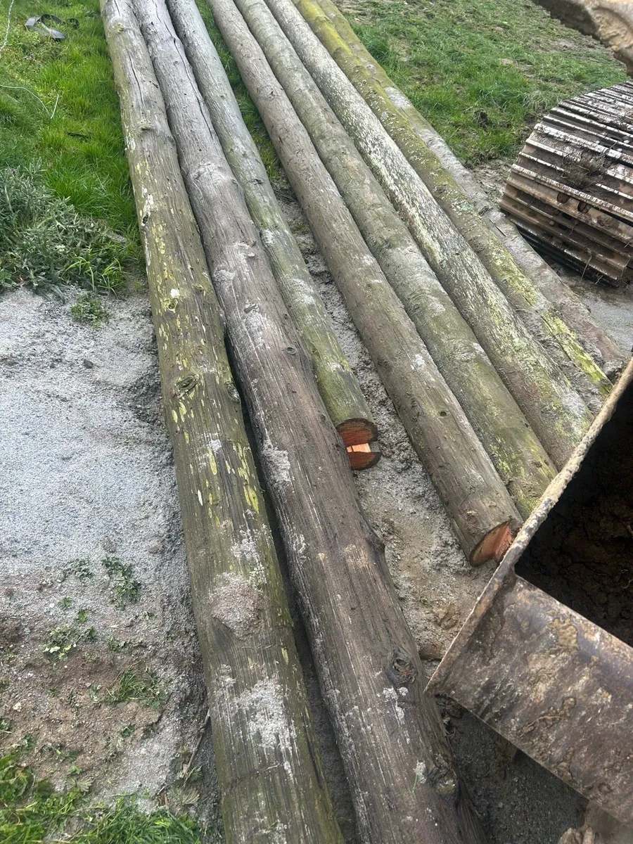Esb poles