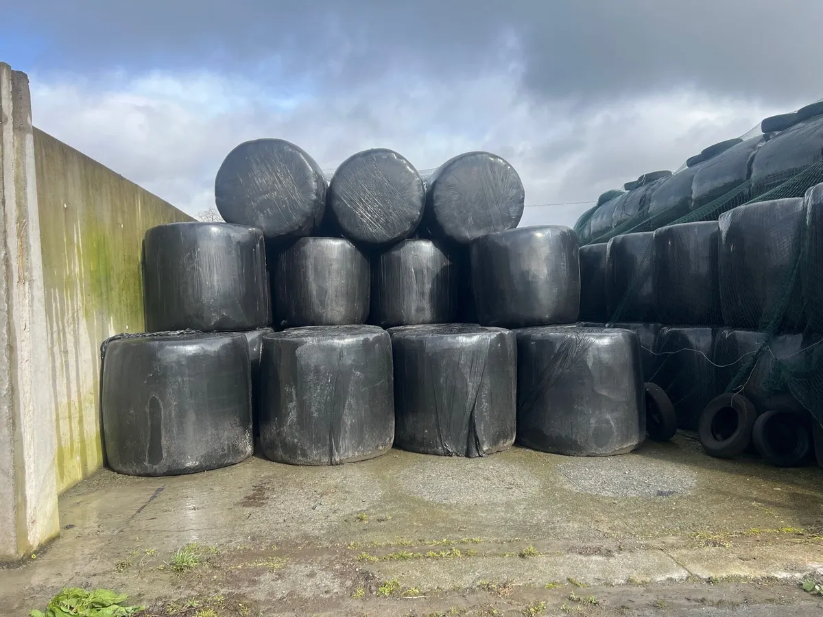 Round Bales of silage