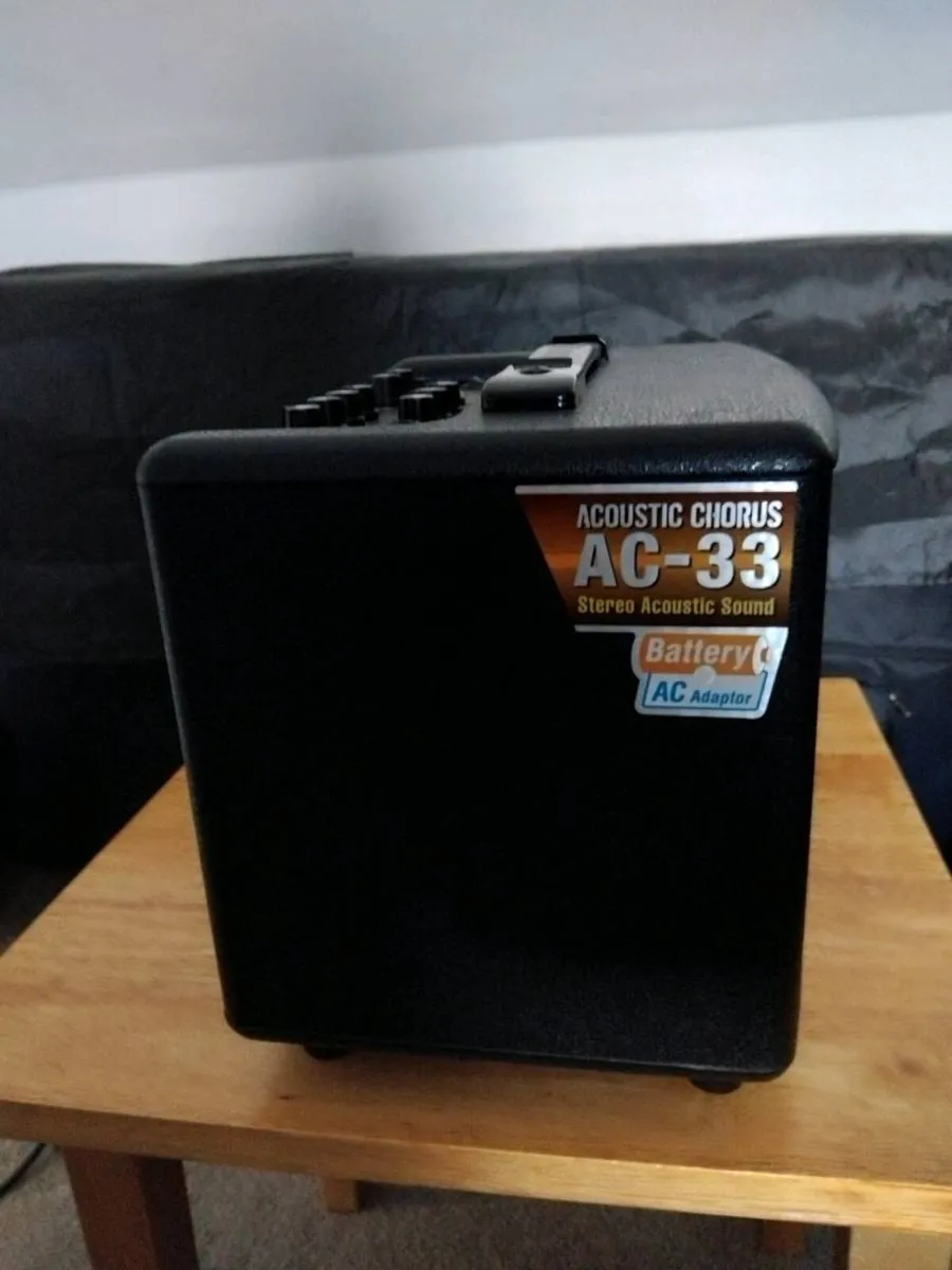 Roland AC33 Accoustic Amp - Image 2