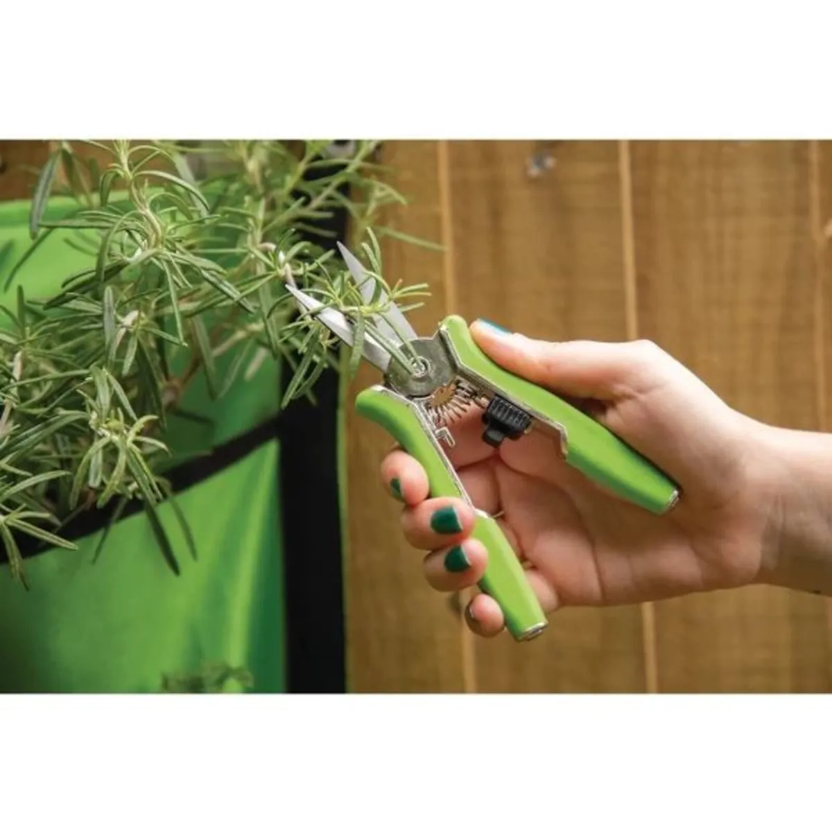 Draper Bypass Pruning Shear Set, 150mm (2 Piece) - Image 2