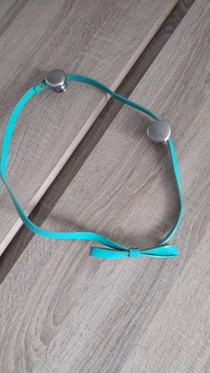 Lacquered green belt new - Image 1