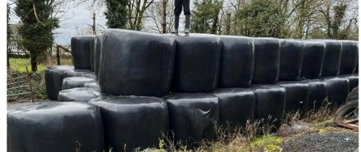 Silage Bales