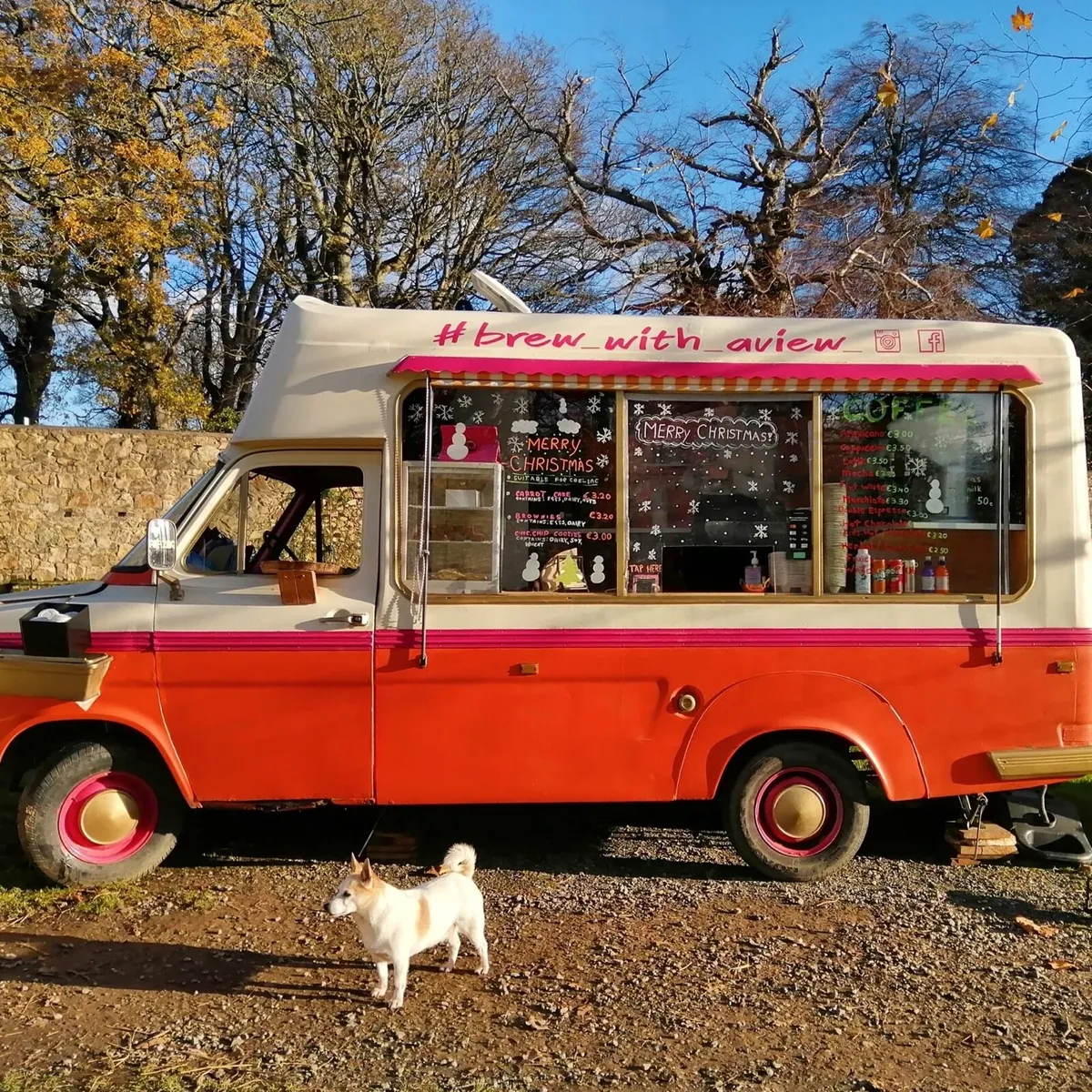 Ford transit 1984 Ice cream van - Image 2