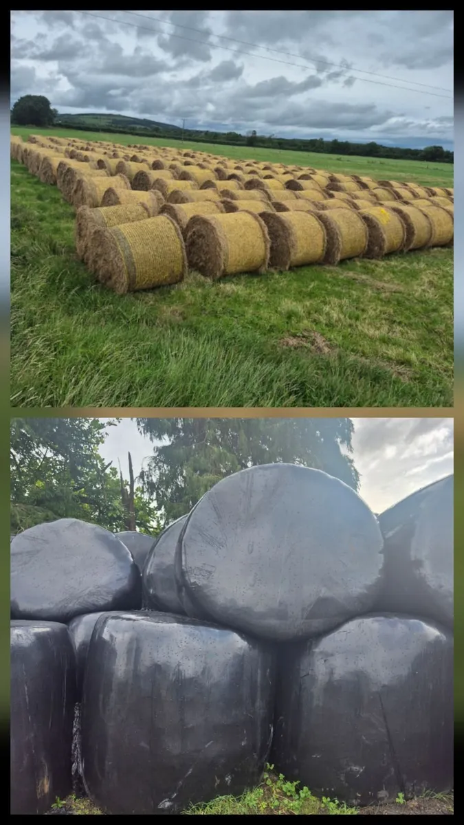 Bales of hay & silage