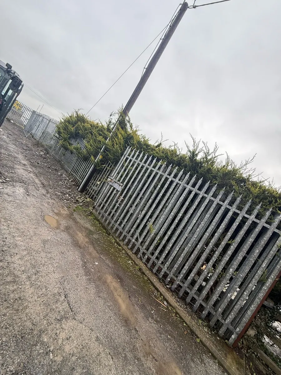 Palisade fencing & gate - Image 1