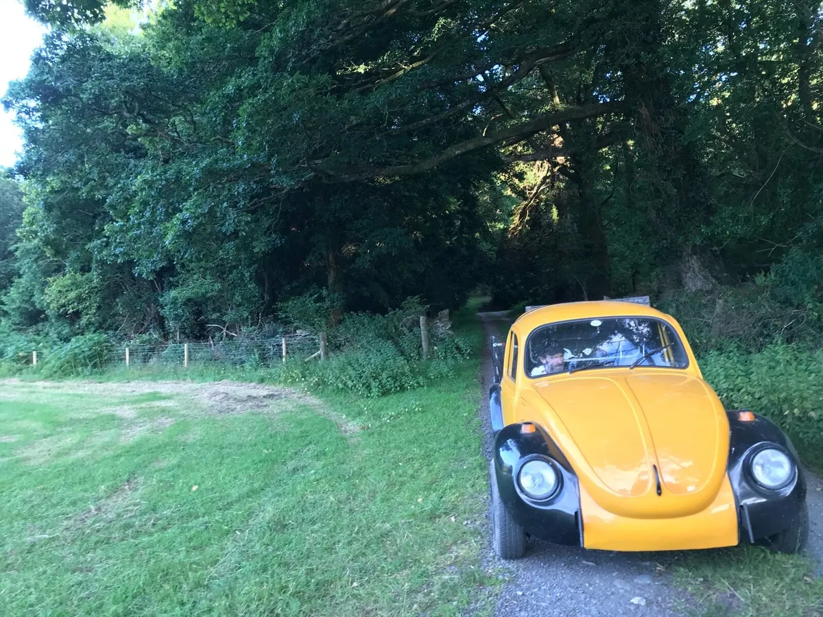 Vw beetle pick up 1975 - Image 3