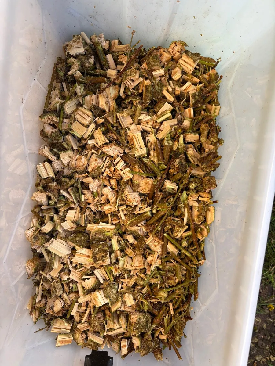 Wood chippings - Image 2