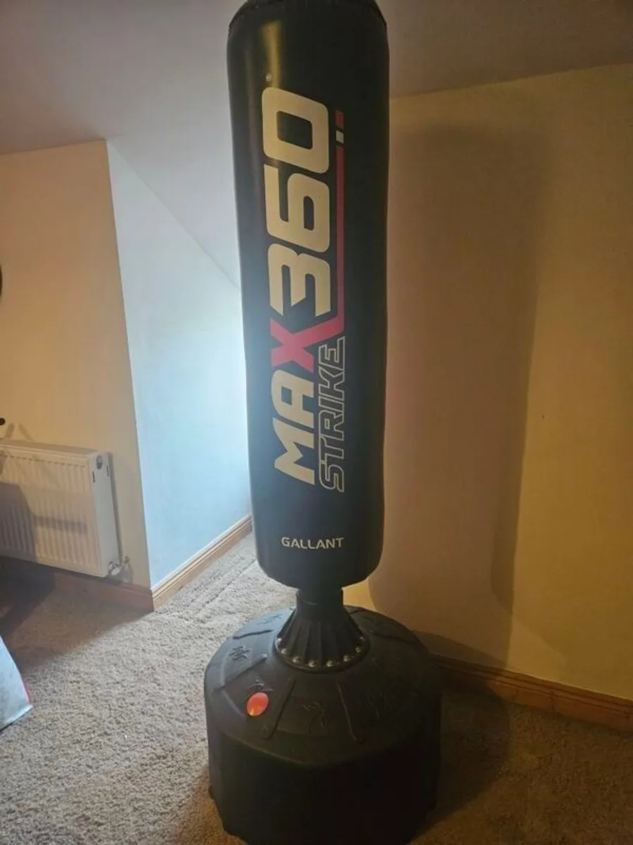 Free standing Boxing Punch Bag - Image 4