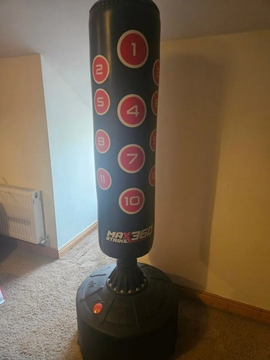 Free standing Boxing Punch Bag - Image 1