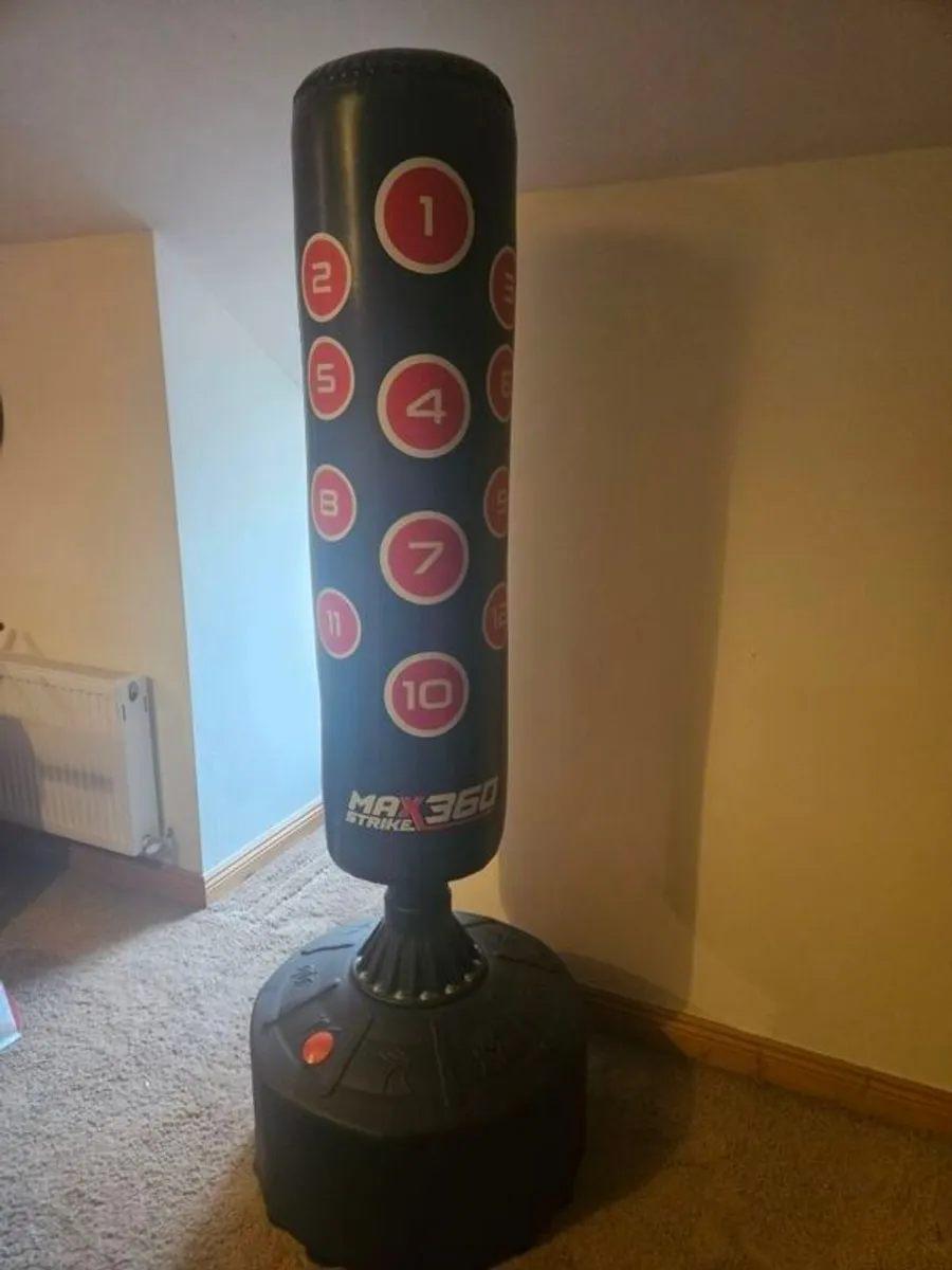 Free standing Boxing Punch Bag - Image 2
