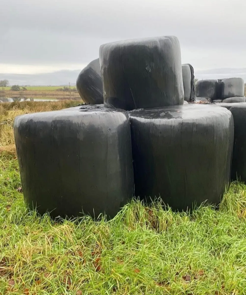 Organic Silage - Image 1