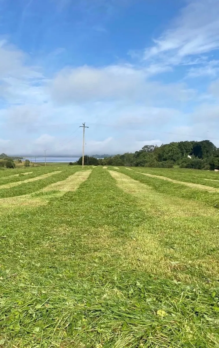 Organic Silage - Image 2