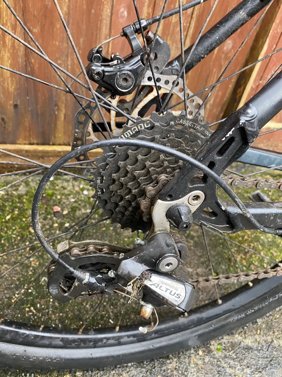 Carrera vengeance - Image 4