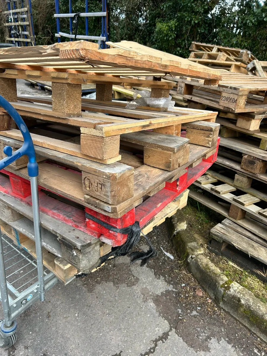 Pallets Free to take away - Image 2
